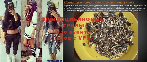 дживик Алексин