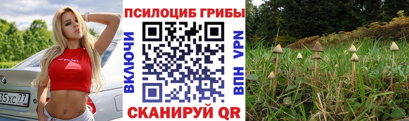 Псилоцибиновые грибы MAGIC MUSHROOMS Новозыбков